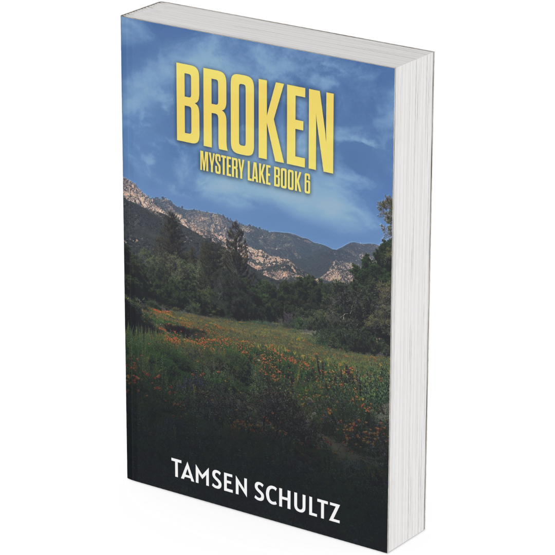 Broken — Paperback