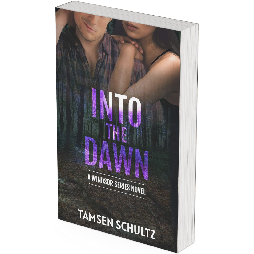 Into The Dawn — Paperback