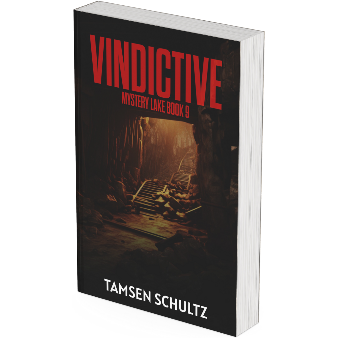 Vindictive — Paperback