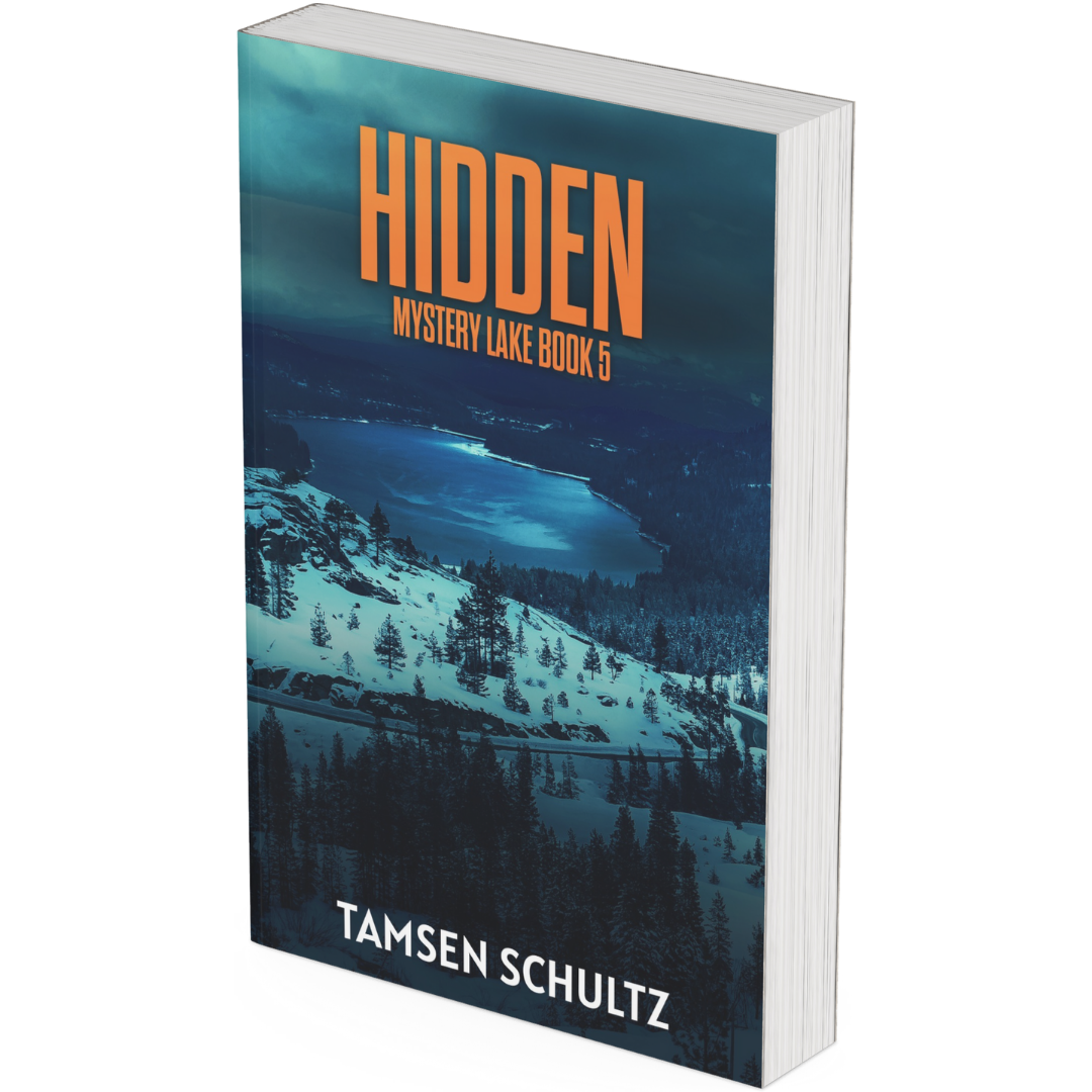 Hidden — Paperback